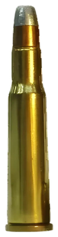 .348 Winchester