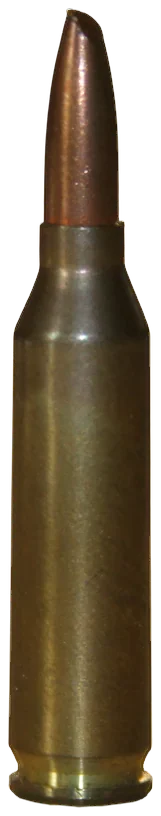 4.6×36mm
